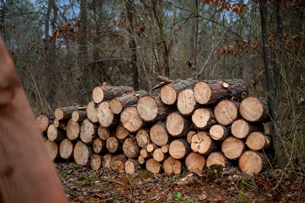 Fire wood for fire pit provided on site