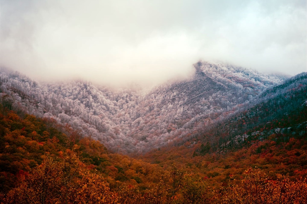 THIS is why they call it the Great Smoky Mountains.