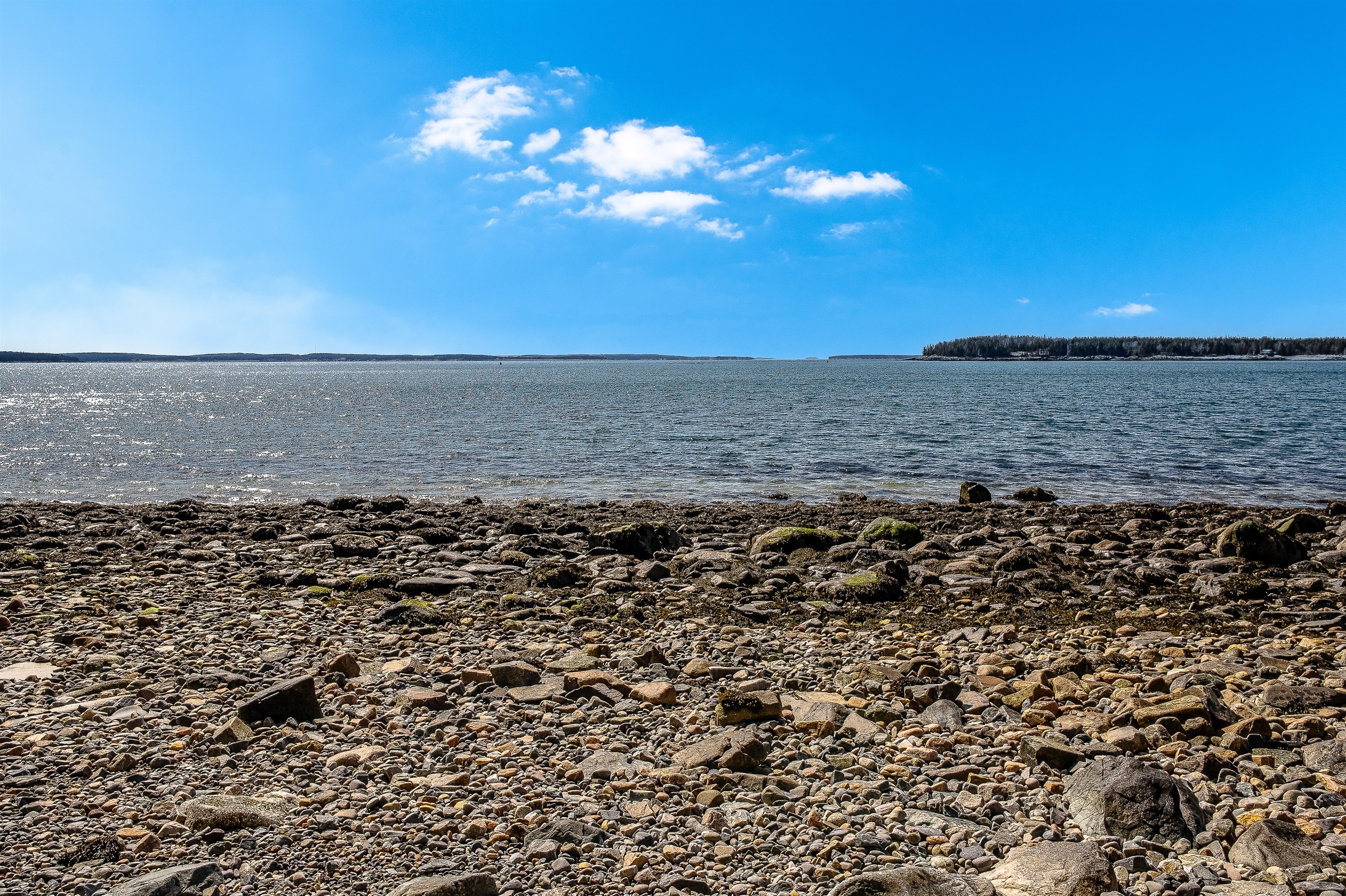 "The Pulse of the Harbor."
Looking due west toward Swans Island, you’ll have a front-row seat to the daily rhythm of the coast. Watch the Swans Island Ferry glide by and the local lobster fleet returning with the day's catch.
