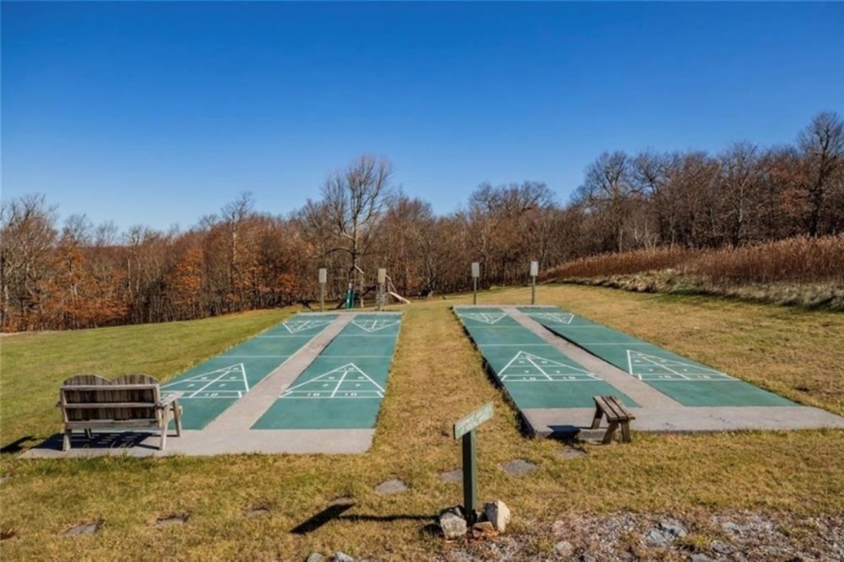 Shuffleboard