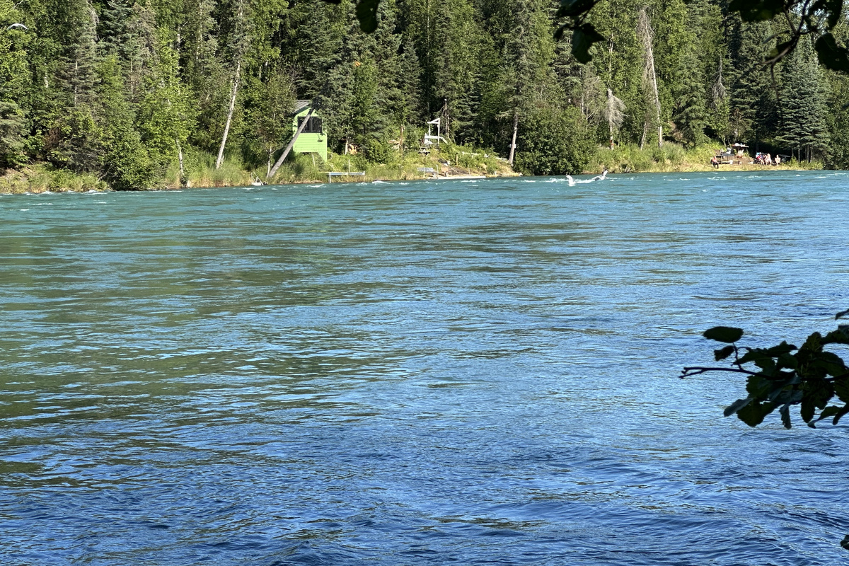 Kenai River from Fishing Platform