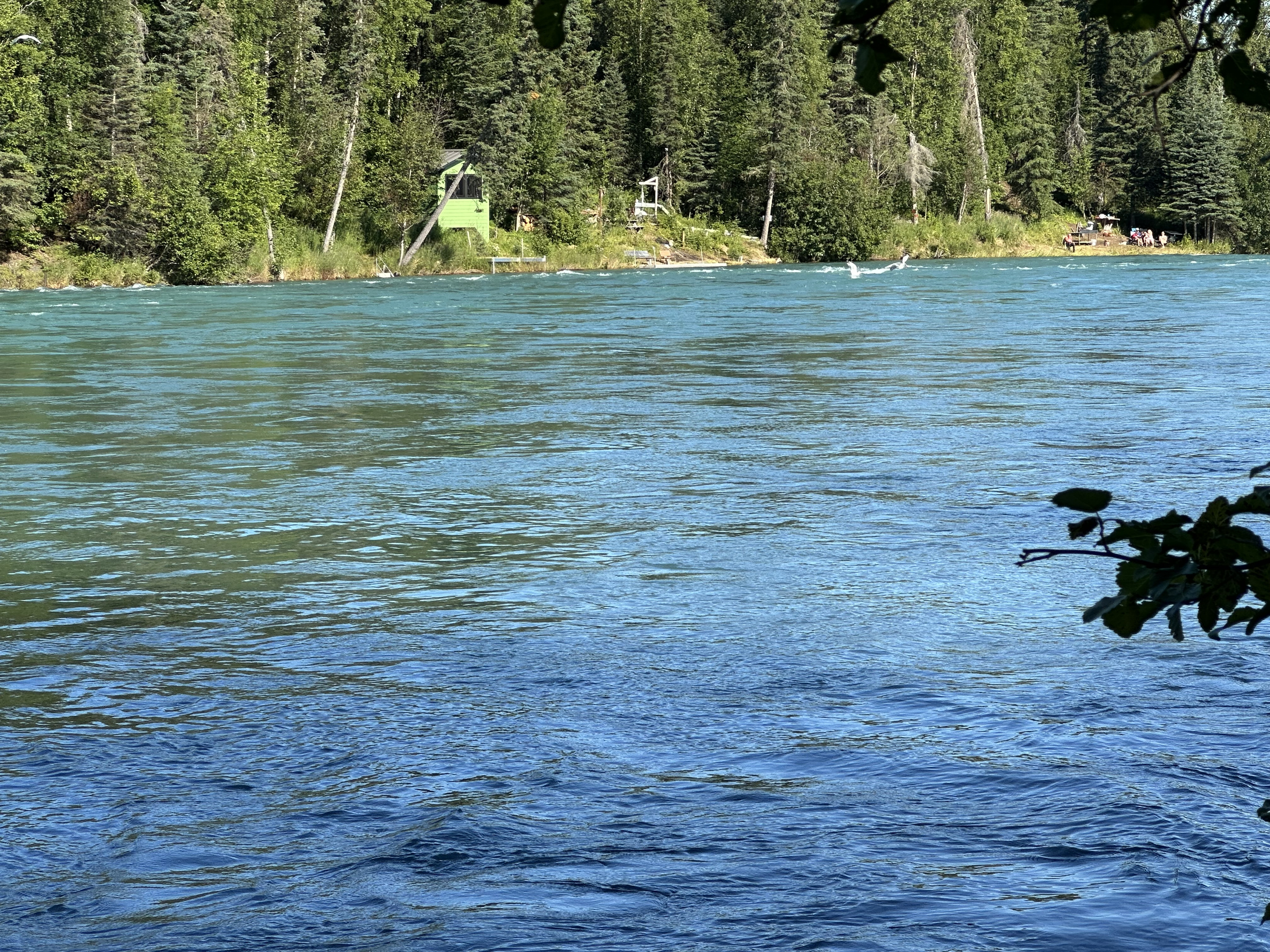 Kenai River from Fishing Platform