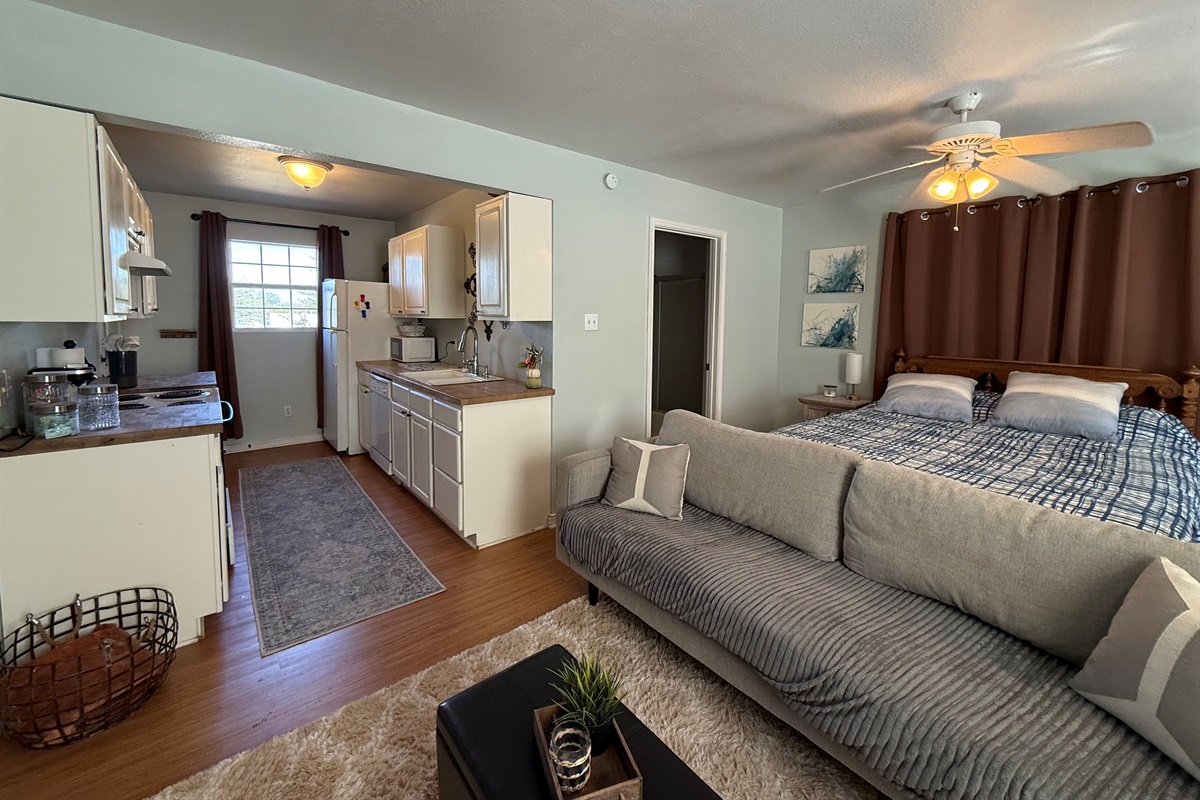 Bright, open-concept studio layout.