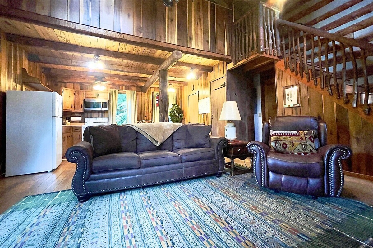 Comfy living room with sleeper sofa