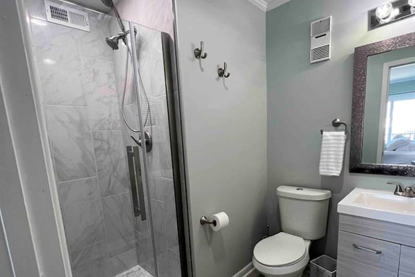 Master bathroom view of renovated shower
