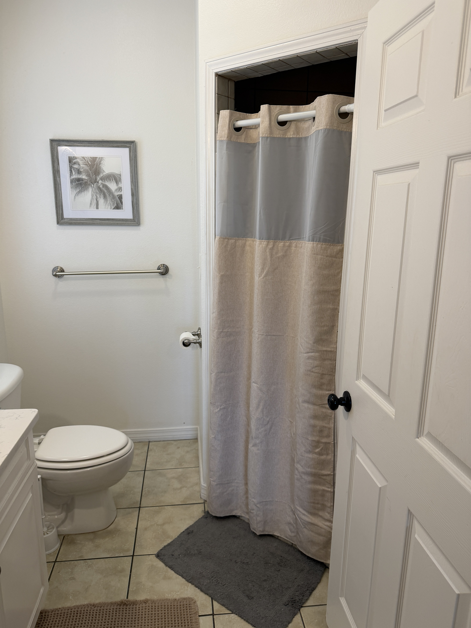 Secondary Master Shower
