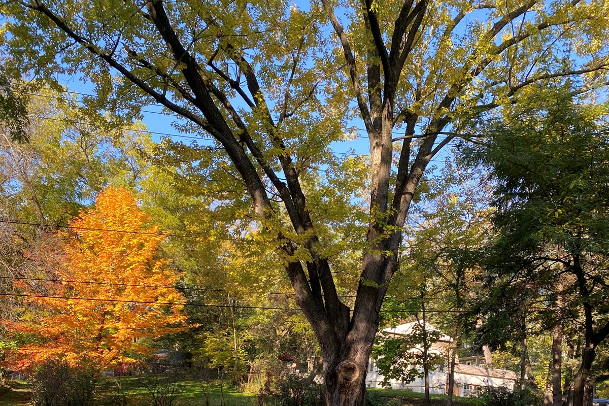 MN Fall Colors and Hills