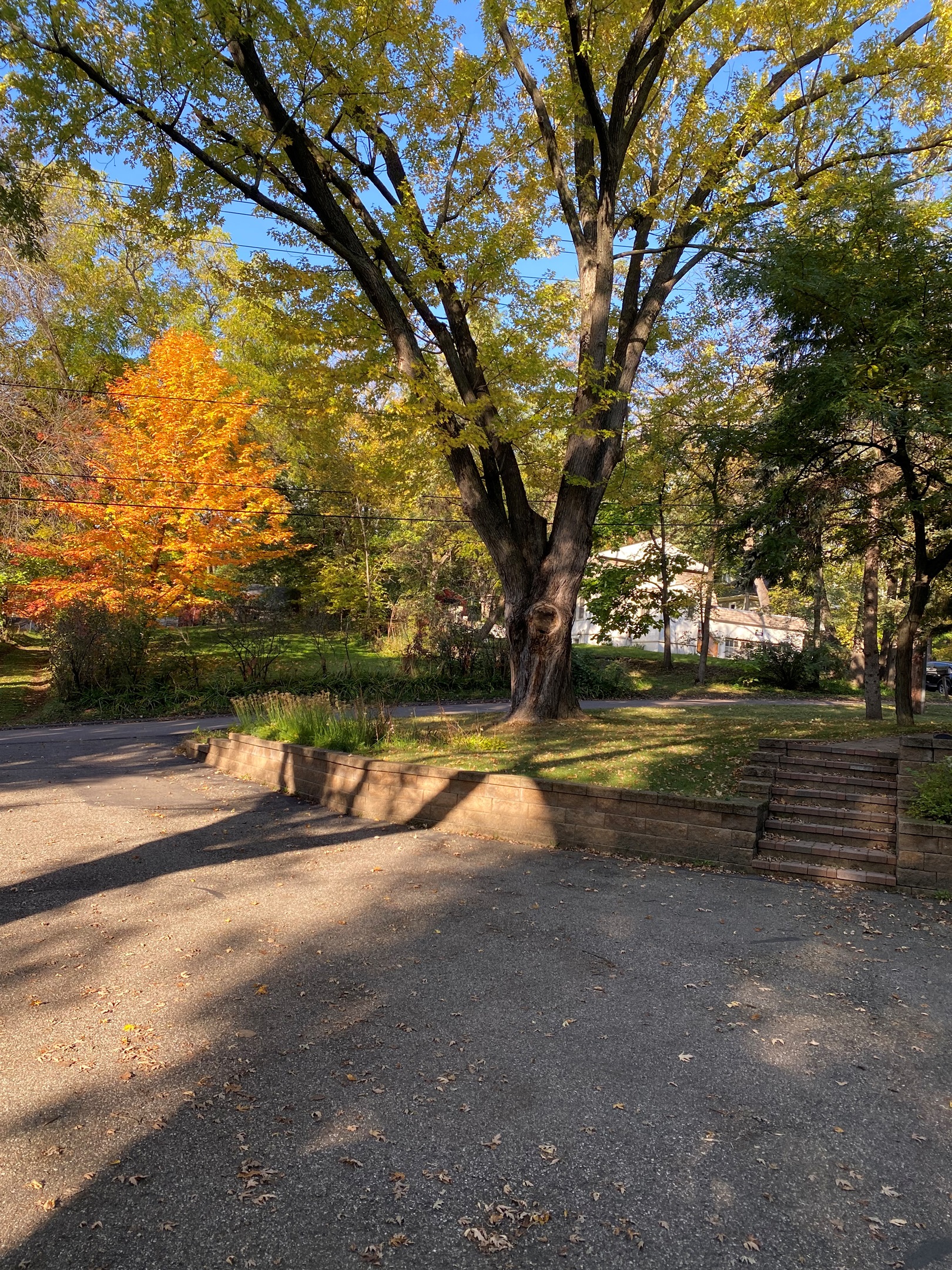 MN Fall Colors and Hills