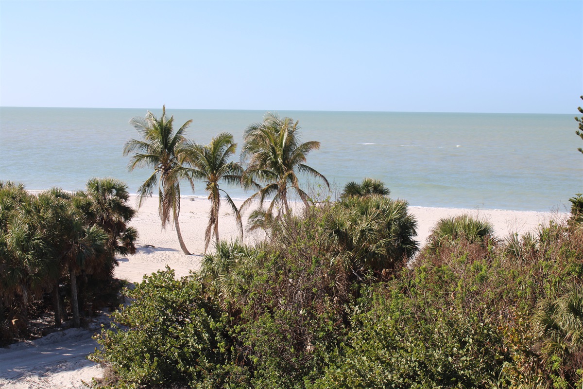 The entrance to the beach is in close proximity ...