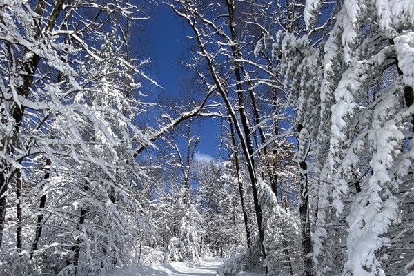 Driveway looking towards the road after a late season snowstorm
