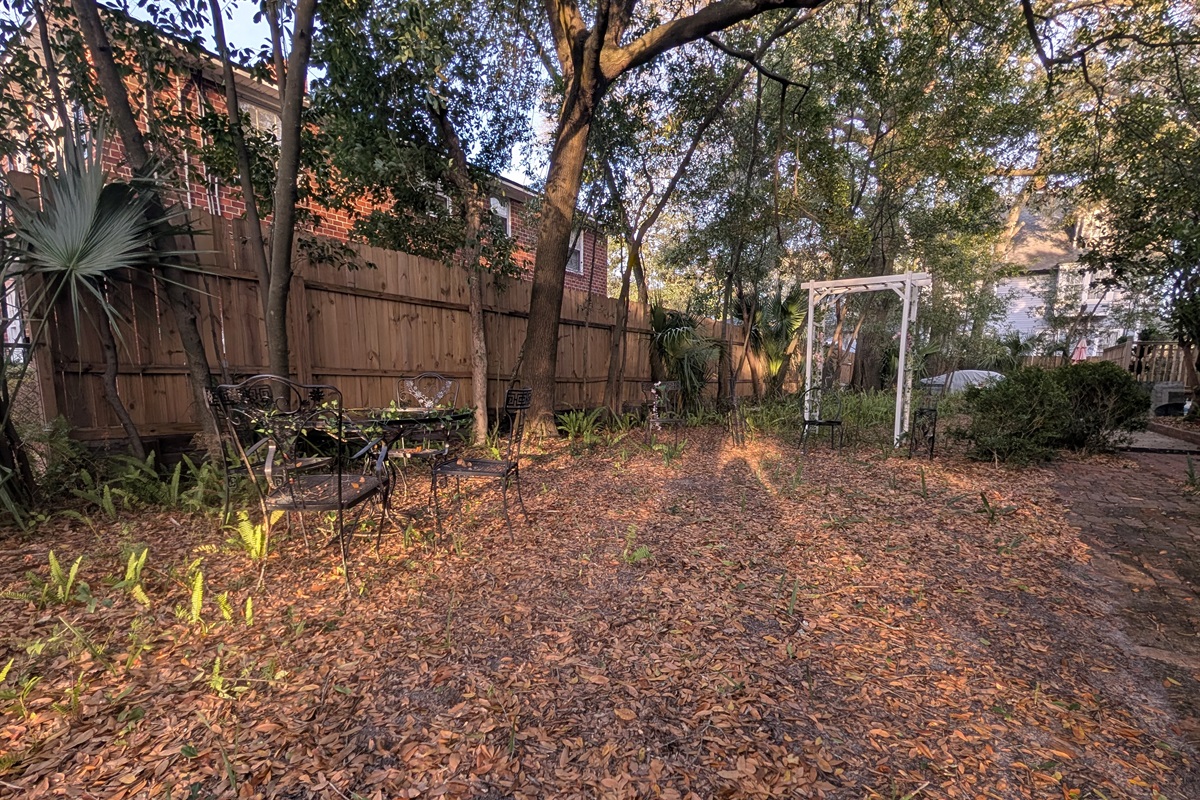 Side yard of home with cute decorations and ferns