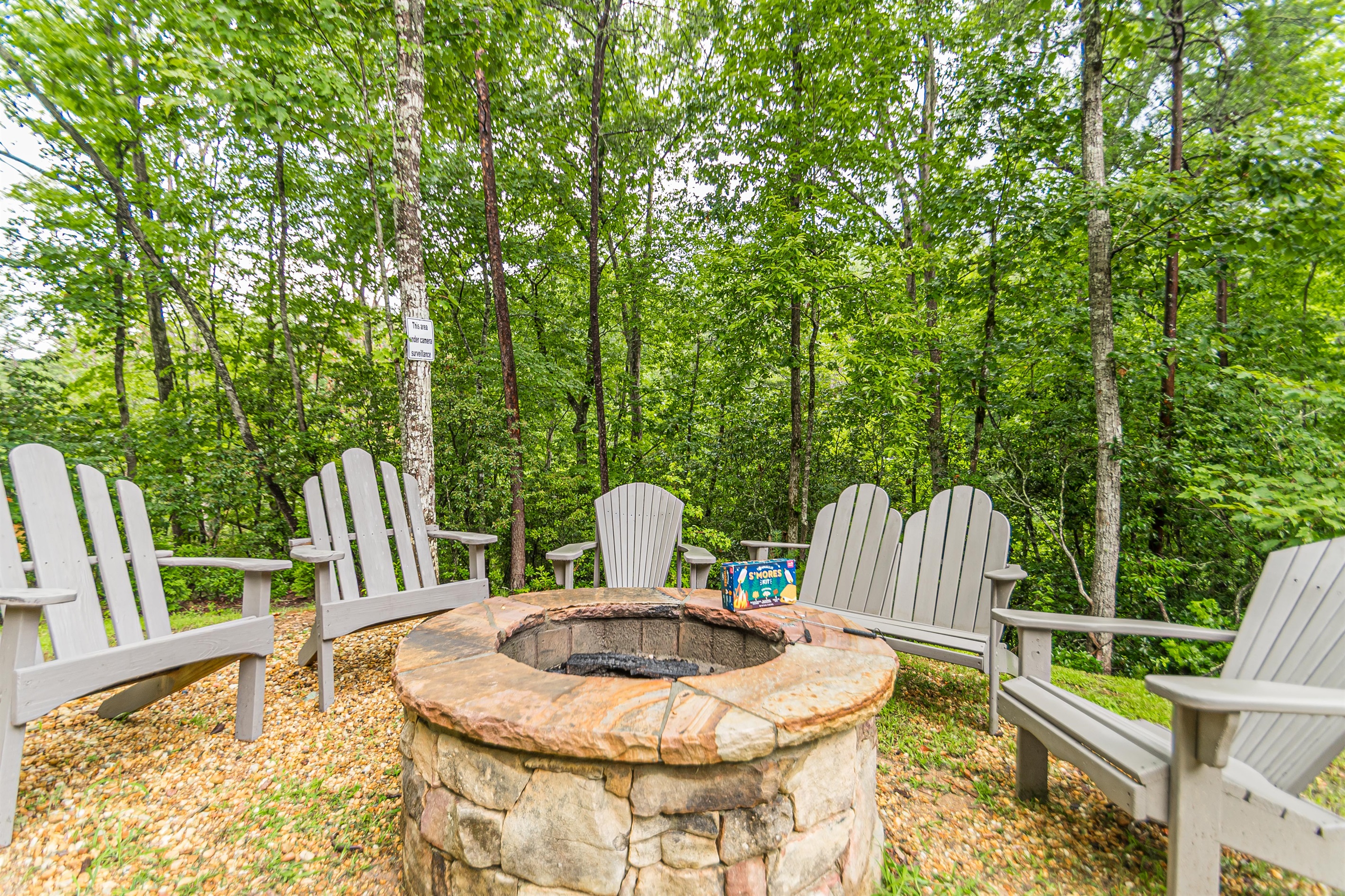 Bearadise Bungalow | Luxurious Canopy Retreat | Hot Tub | Fire Pit | Pool Table 4