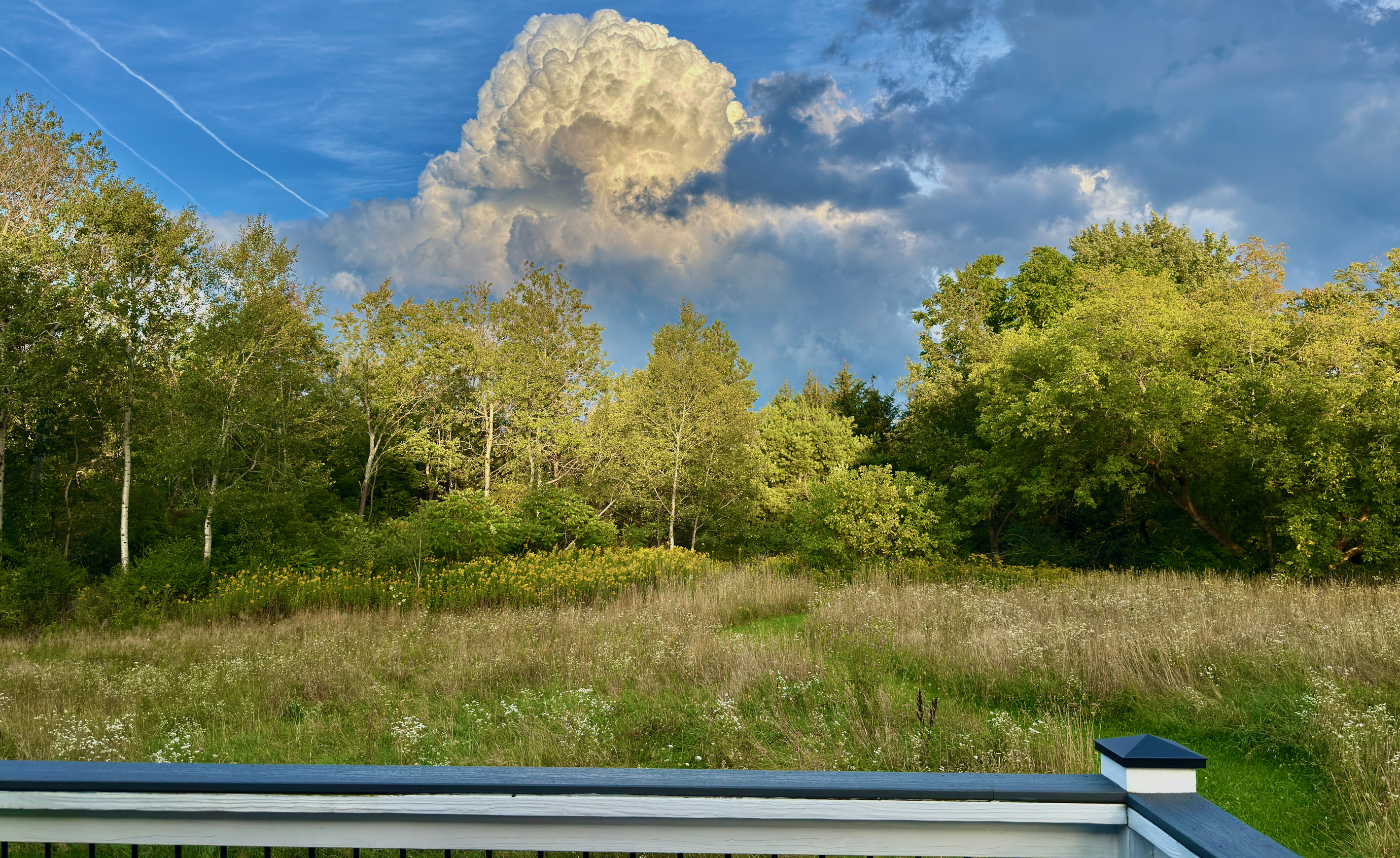Expansive meadow view from the deck. Private mowed walking path winds through seasonal wildflowers down toward the pond.