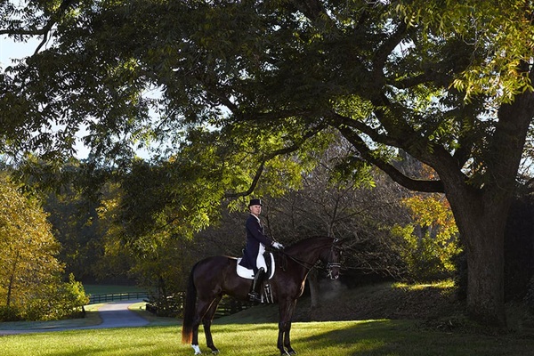 World Class dressage training just minutes away.