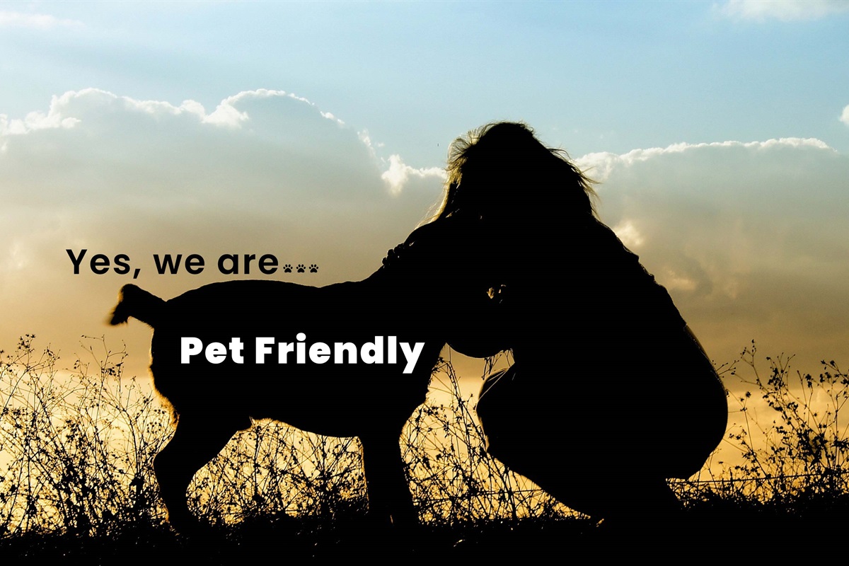 we are pet friendly