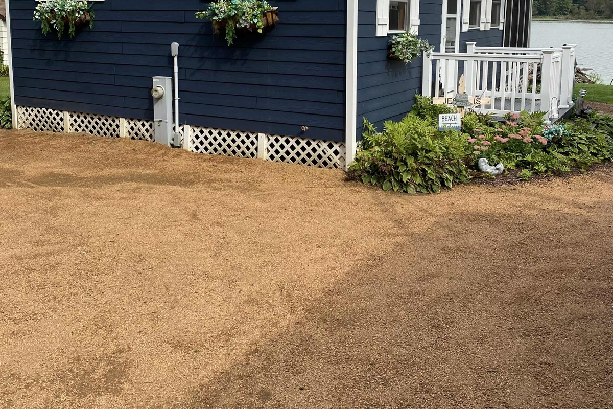 Rear view of the Blue Gill