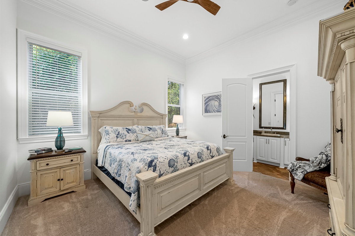 Downstairs King Guest BR