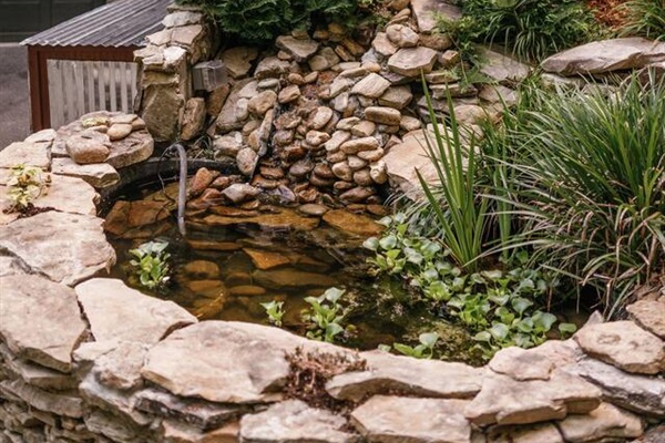 Try and spot a frog in our two ponds with stream. 