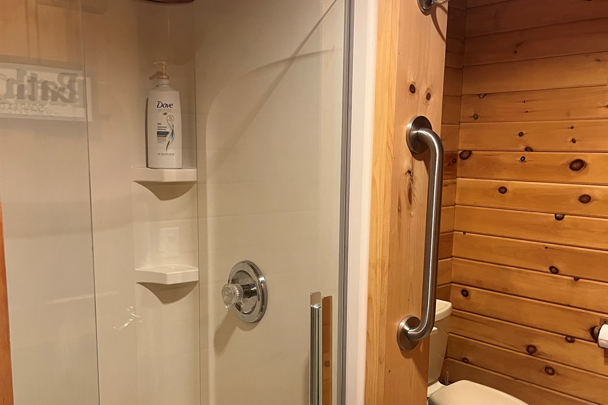 Lower level bathroom with shower