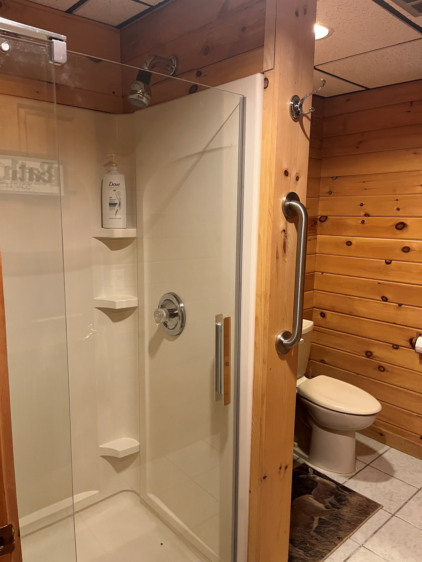 Lower level bathroom with shower