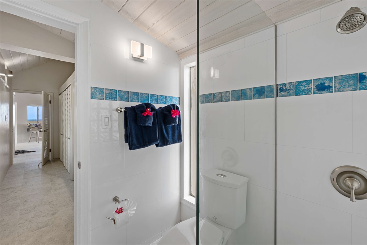 Guest ensuite bathroom with shower