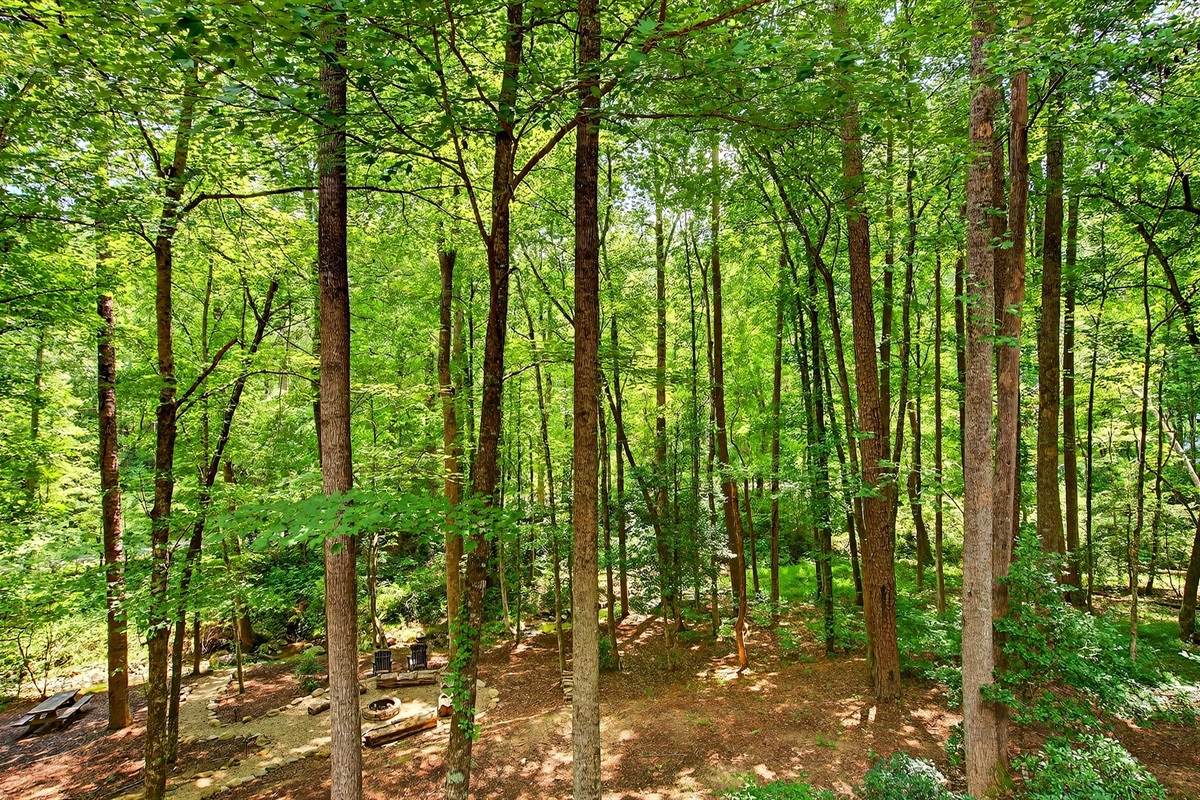 Surrounded by nature