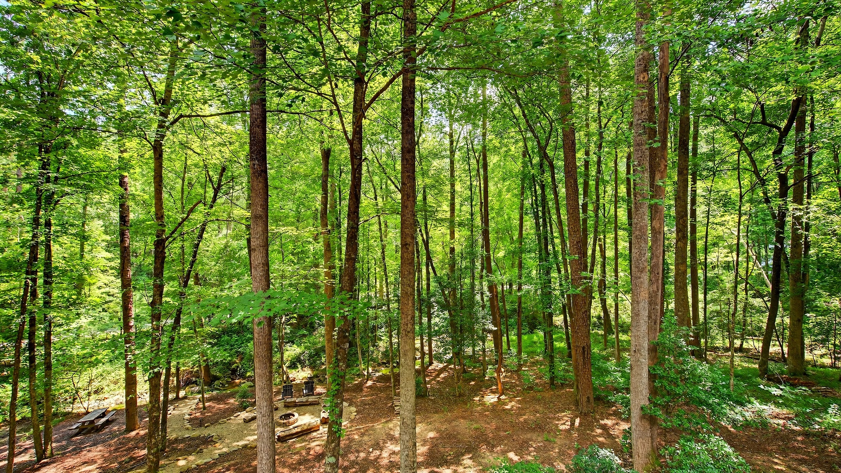 Surrounded by nature