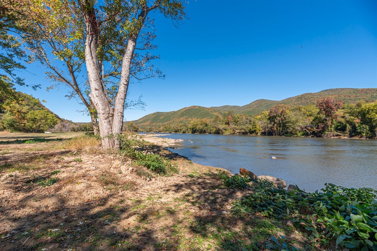The French Broad River is the 3rd oldest river in the world! It is home to many creatures like otter, beaver, bass, catfish, and a million other things. 