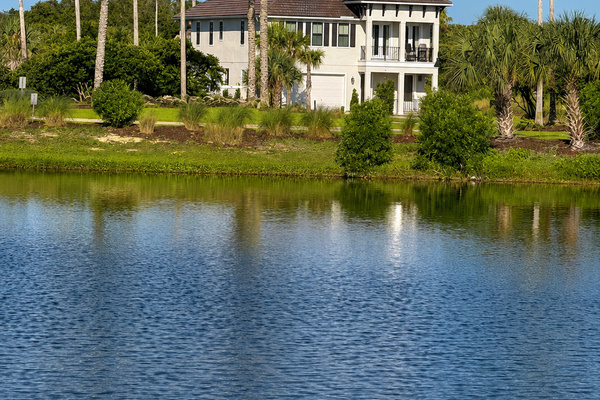 Mirrored in the still lake and crowned by towering palms, your home rests in a pocket of pure serenity. This is the backdrop for your family's week—peaceful water, rustling fronds, and the sense that here, at last, everyone can finally relax.