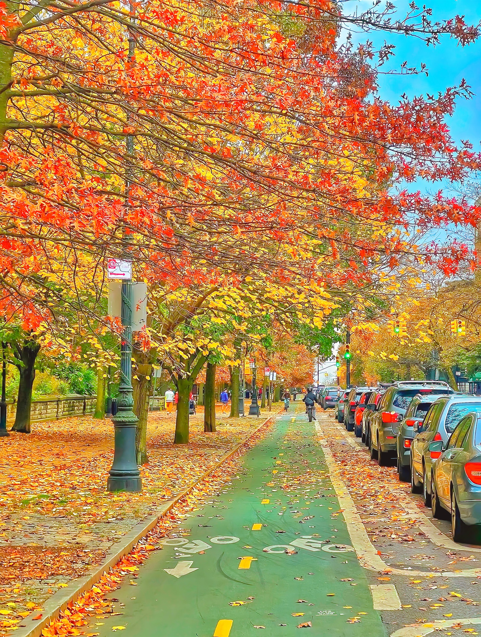 The  Fall season changing the trees around Prospect Park is just so beautiful.