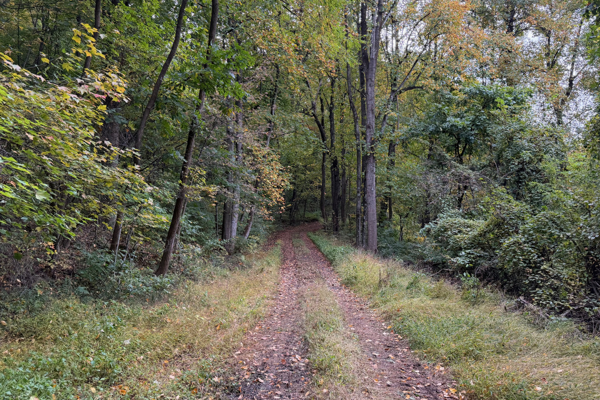 Numerous trails are on the 26 acre property, which you are free to use. We do have many wild animals to enjoy watching, but do take care and be safe. Read through the Guest Welcome Book about safety before you venture off.