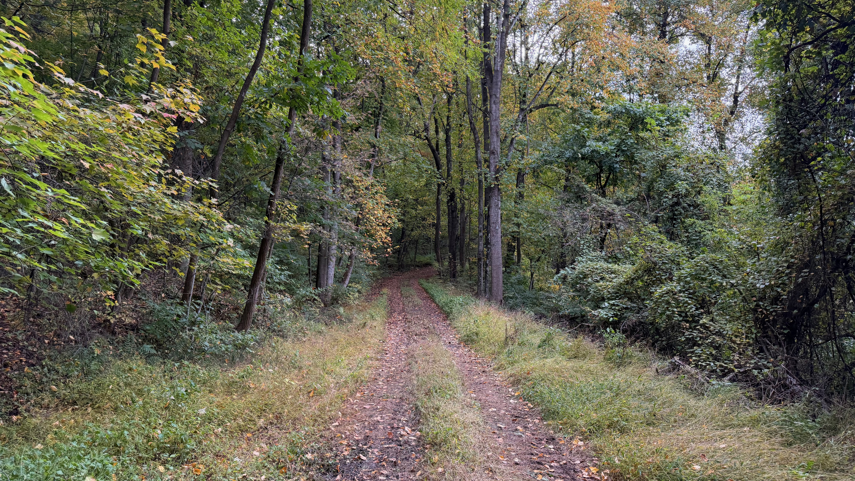 Numerous trails are on the 26 acre property, which you are free to use. We do have many wild animals to enjoy watching, but do take care and be safe. Read through the Guest Welcome Book about safety before you venture off.