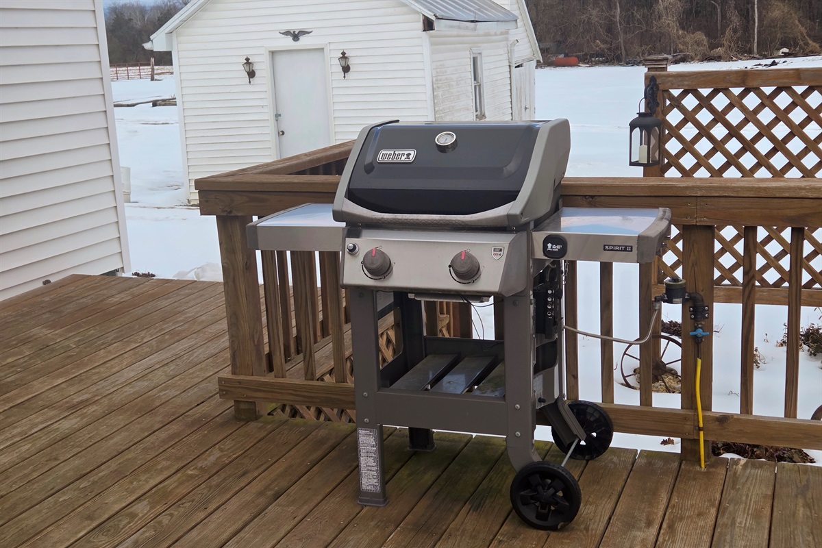 Outdoor propane grill