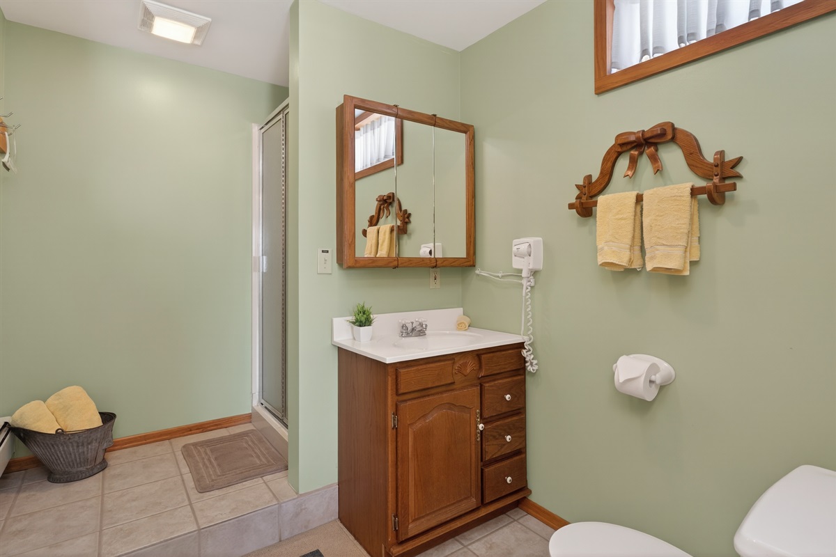 Lower level full bathroom #3 with walk in shower