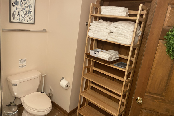 Plenty of storage in the bathroom