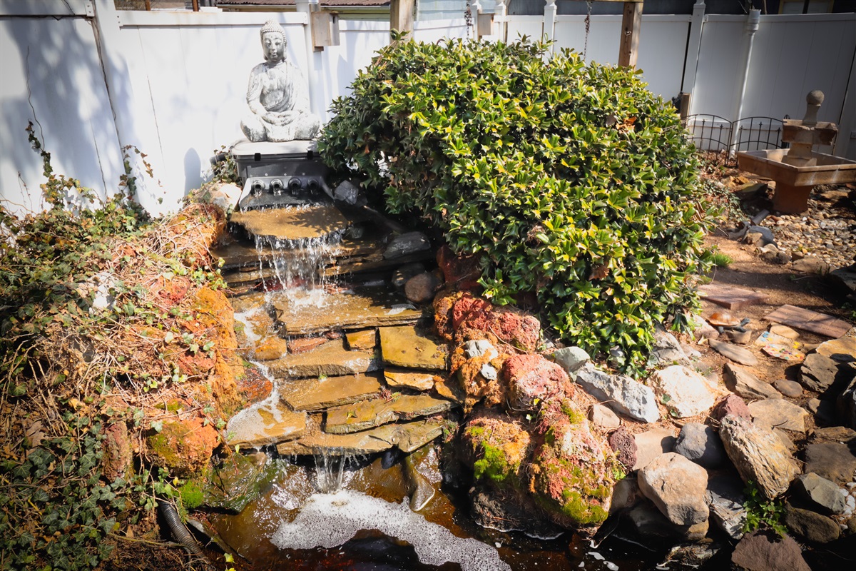 lower deck swim spa, pond and more seating