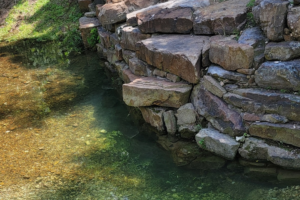 Swimming Brush Creek