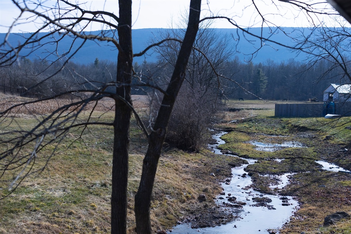 What you can see from the back porch