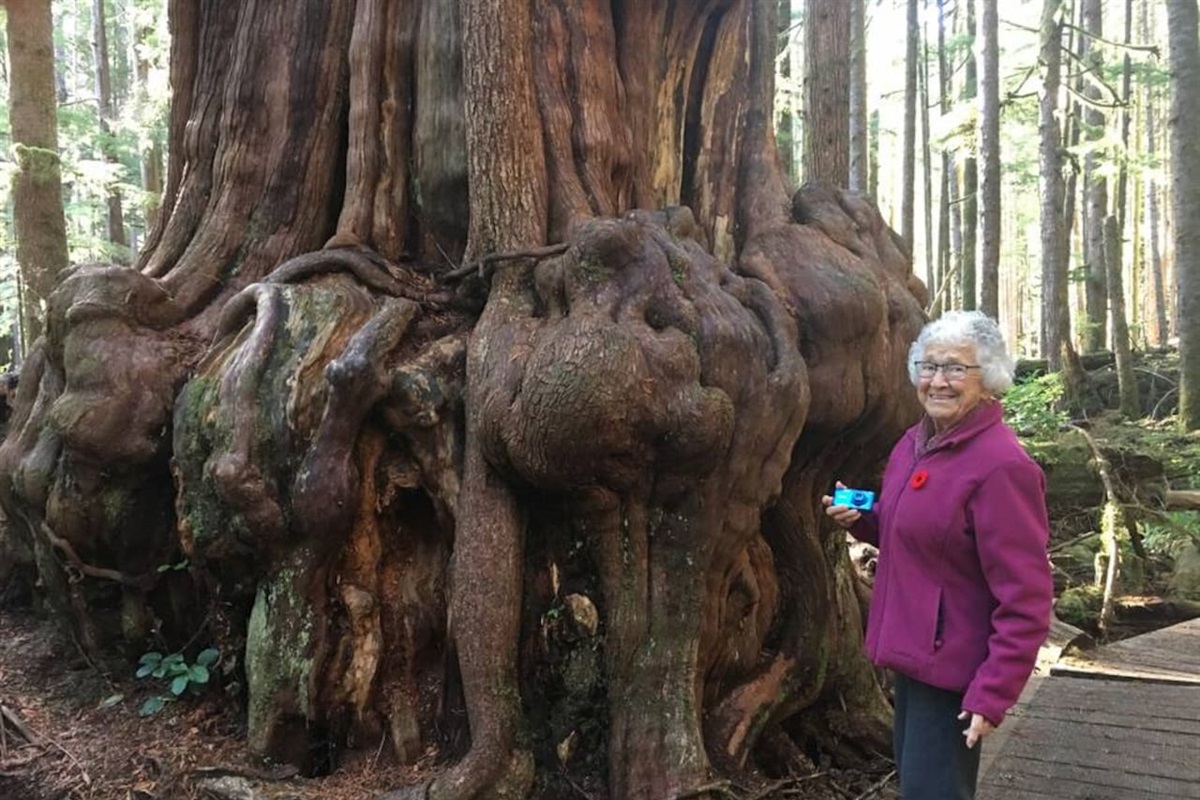 Mum, at 94, at the base of a Gnarly Tree