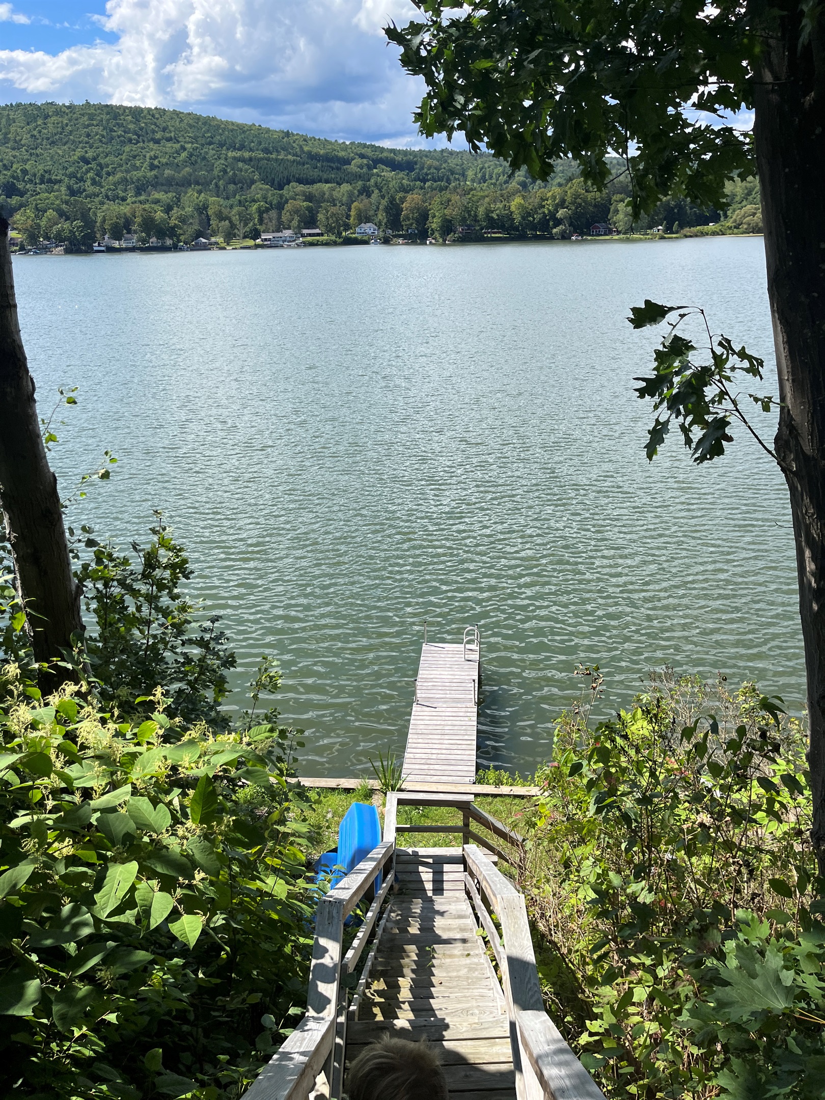 Stairs leading down to the waterfront