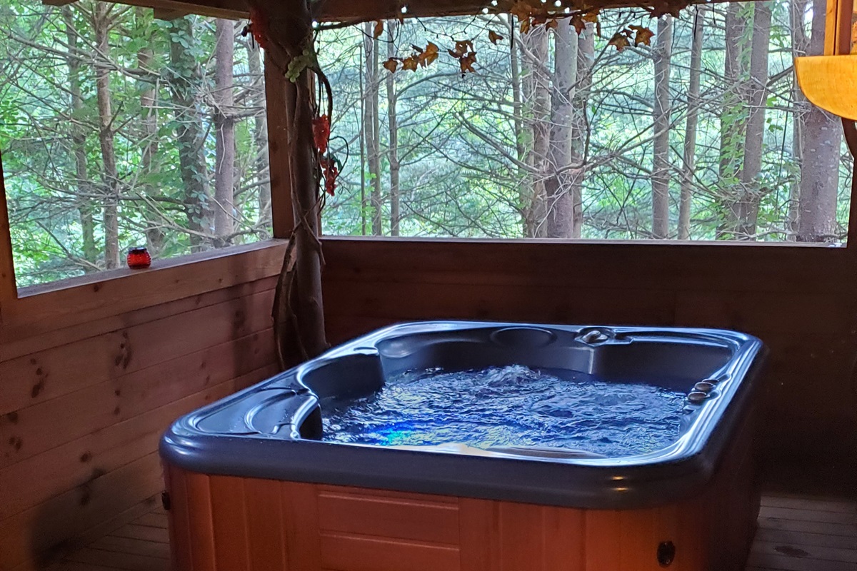 Out back is a screened in porch for your private use of the hot tub.