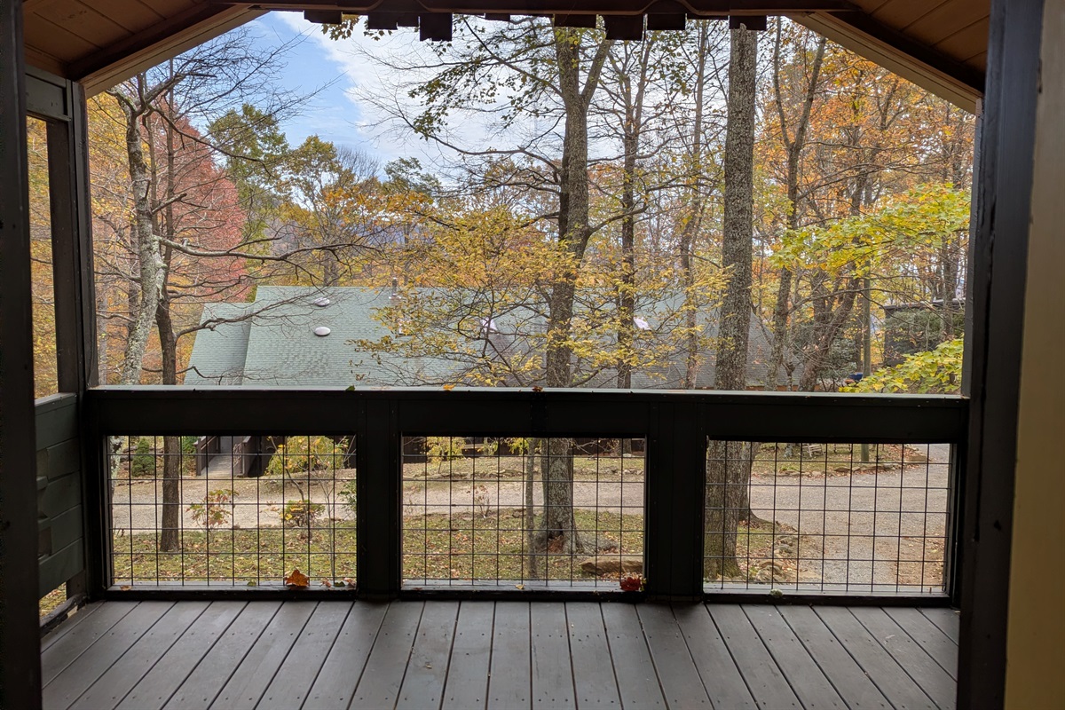 View from Screened Porch