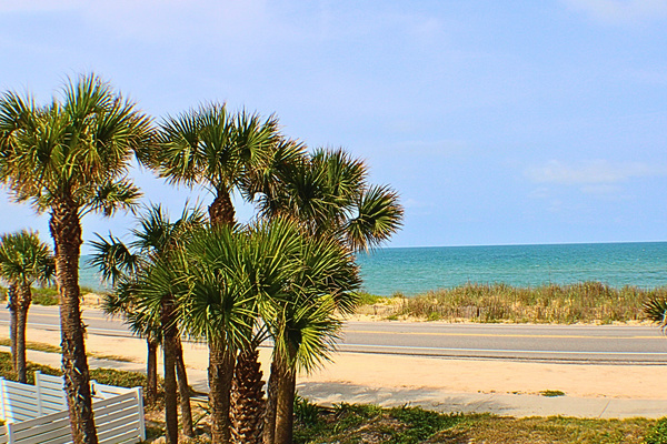 Oceanview Paradise: Sip your morning coffee with stunning beach views framed by swaying palms!