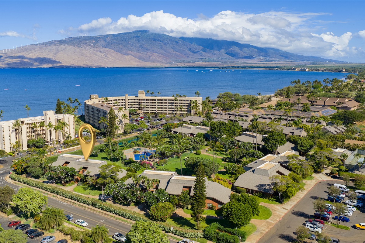 Koa Resort