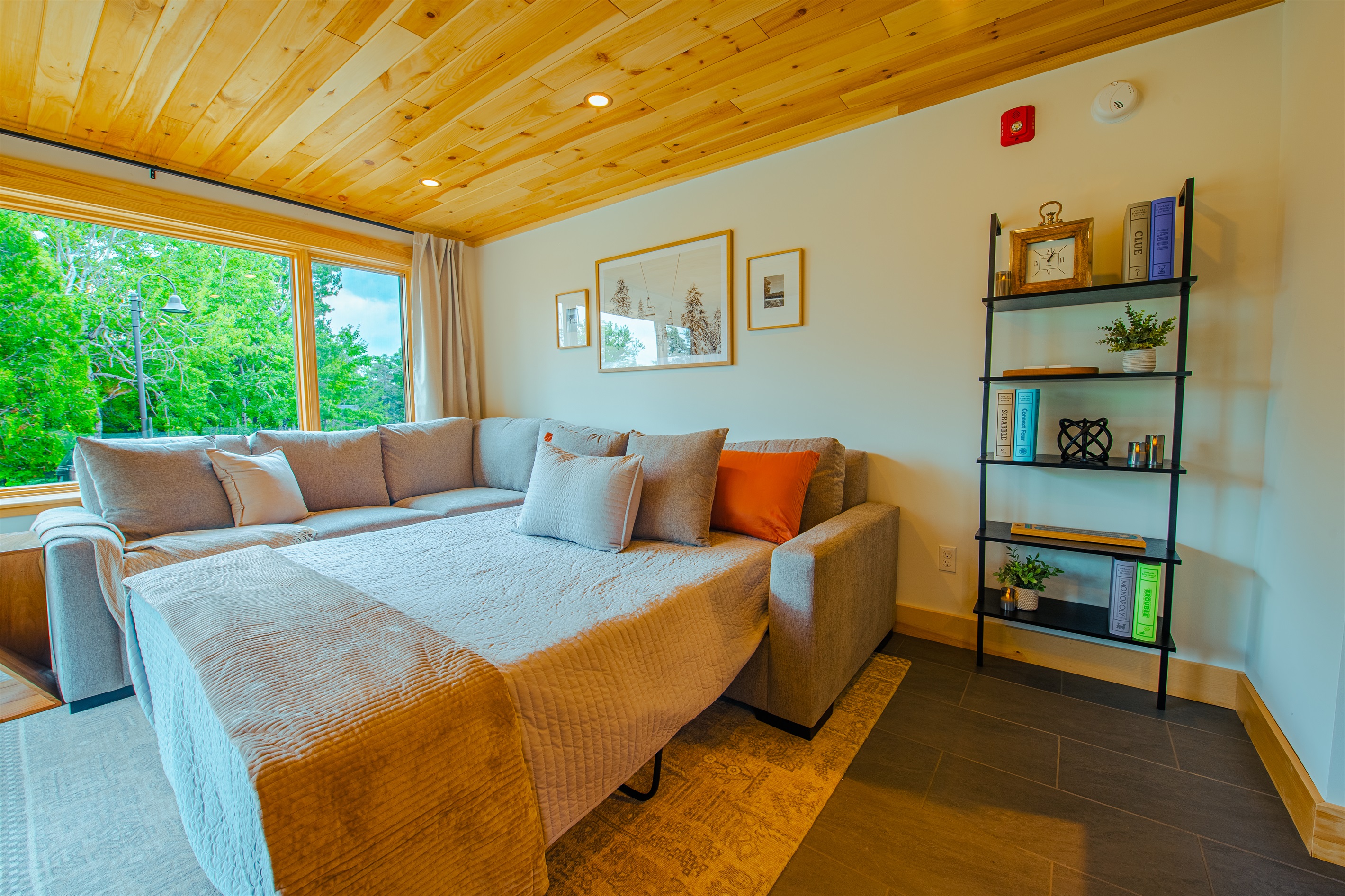 Pull-out Queen Dream Sleep Sofa