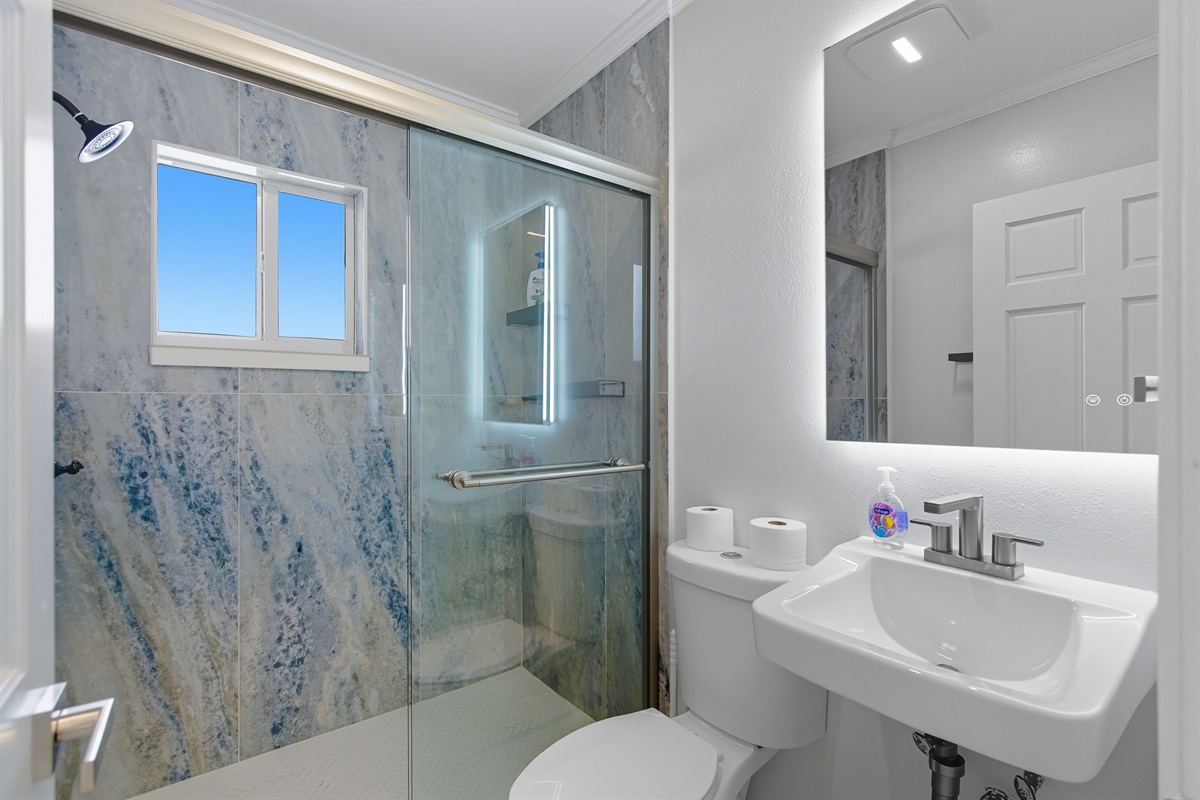 The downstairs full bathroom between the kitchen and bedroom 4 is newly remodeled.