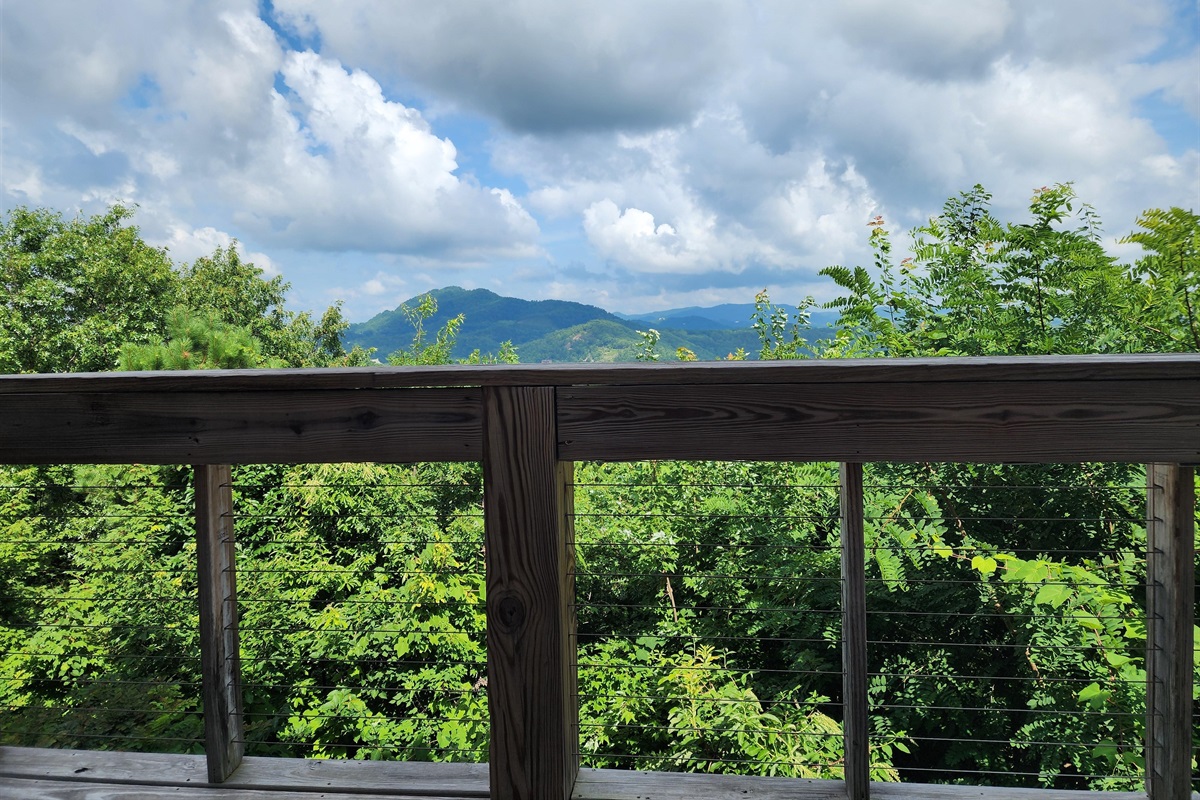 Kim M., Jul 29, 2025