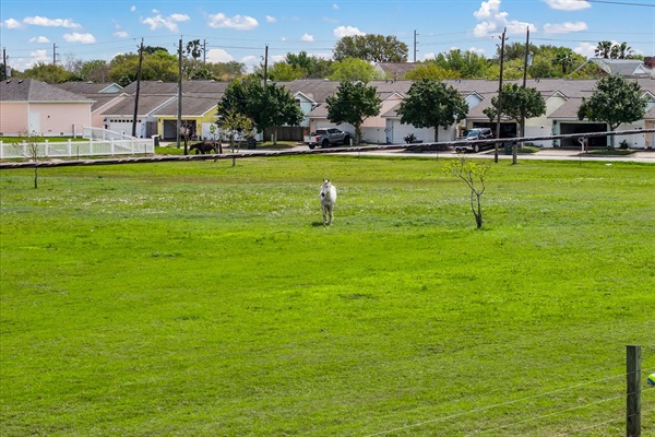 Beautiful view of horses right from the living room and 2nd floor patio.