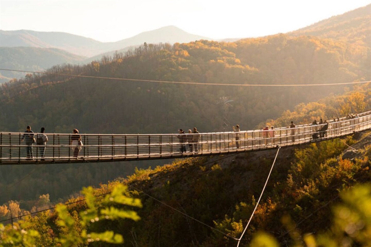 Take a walk on the high side across Gatlinburg's sky bridge. 