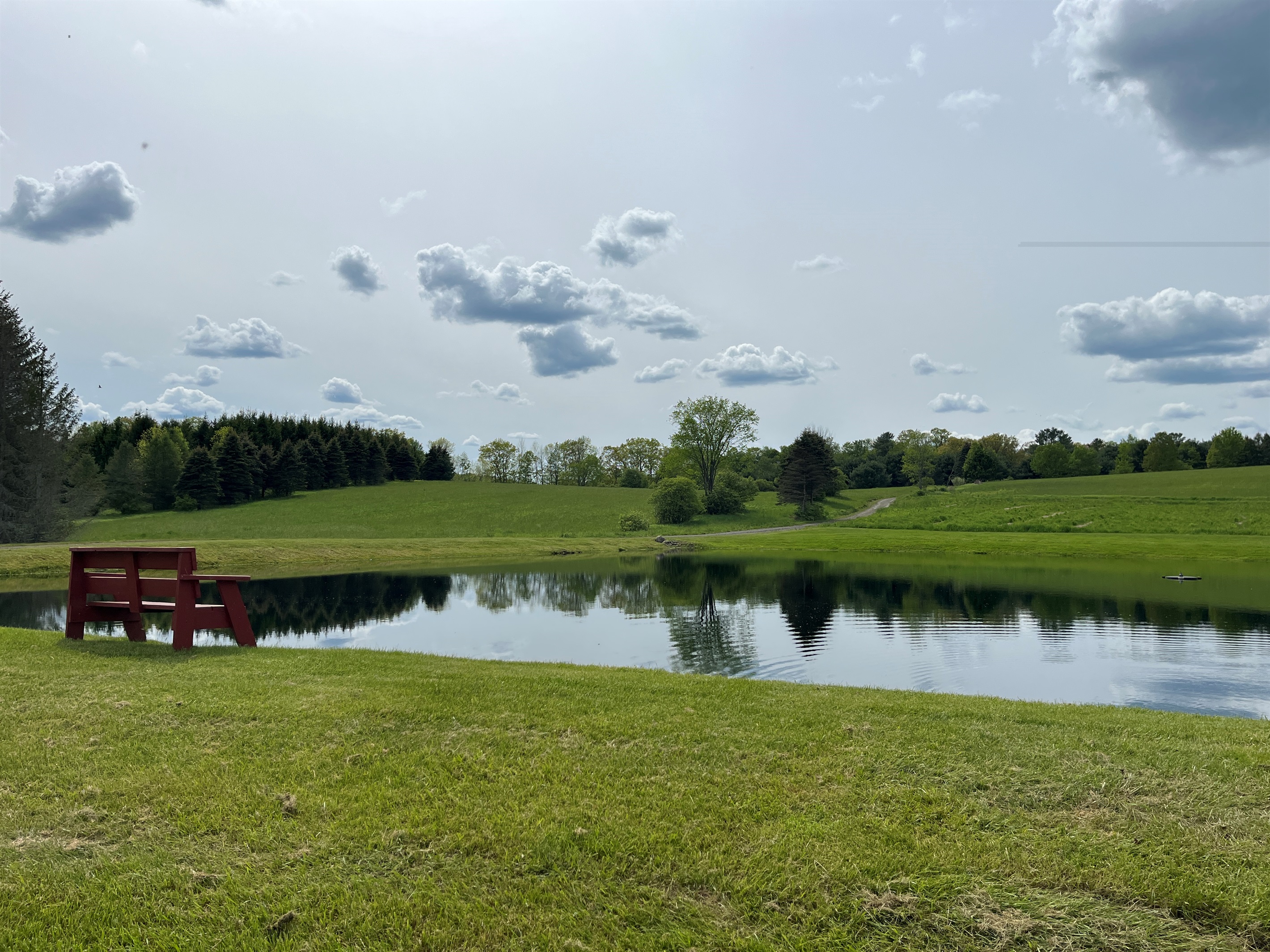 Pond for swimming, fishing & paddle sports fun